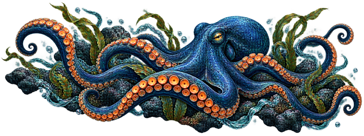 Sapphire Labyrinth | Japanese Octopus Automotive Decal | Instawraps