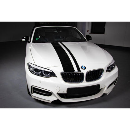 AVERY DENNISON NEO NOIR CUTTING EDGE PPF - BLACK PAINT PROTECTION FILM - MADE POSSIBLE!