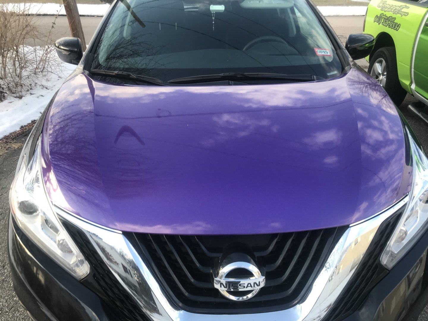 VVIVID VINYL 2019 VVIVID+ PSYCHO PURPLE