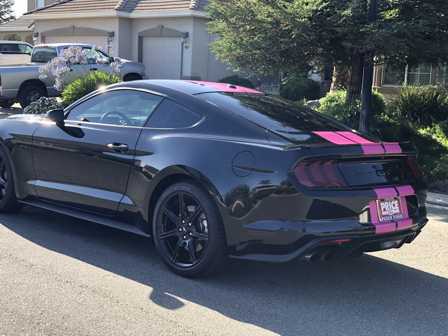 VVIVID VINYL XPO MATTE MAGENTA
