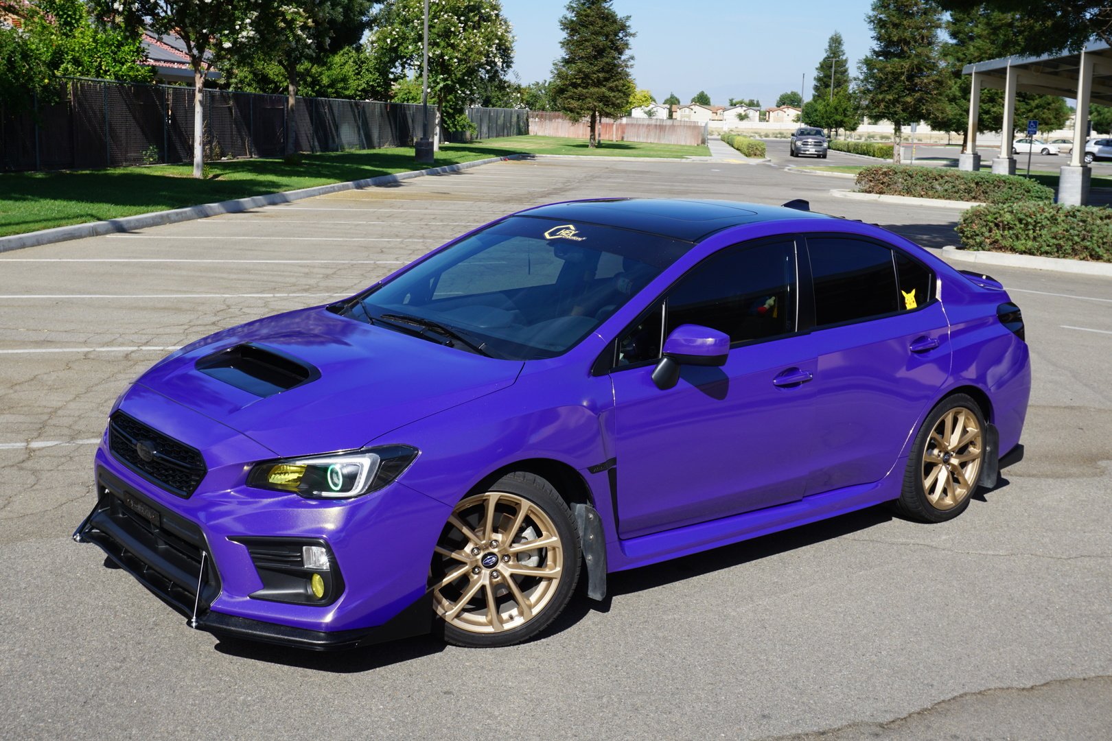 VVIVID VINYL 2019 VVIVID+ GALAXY PURPLE