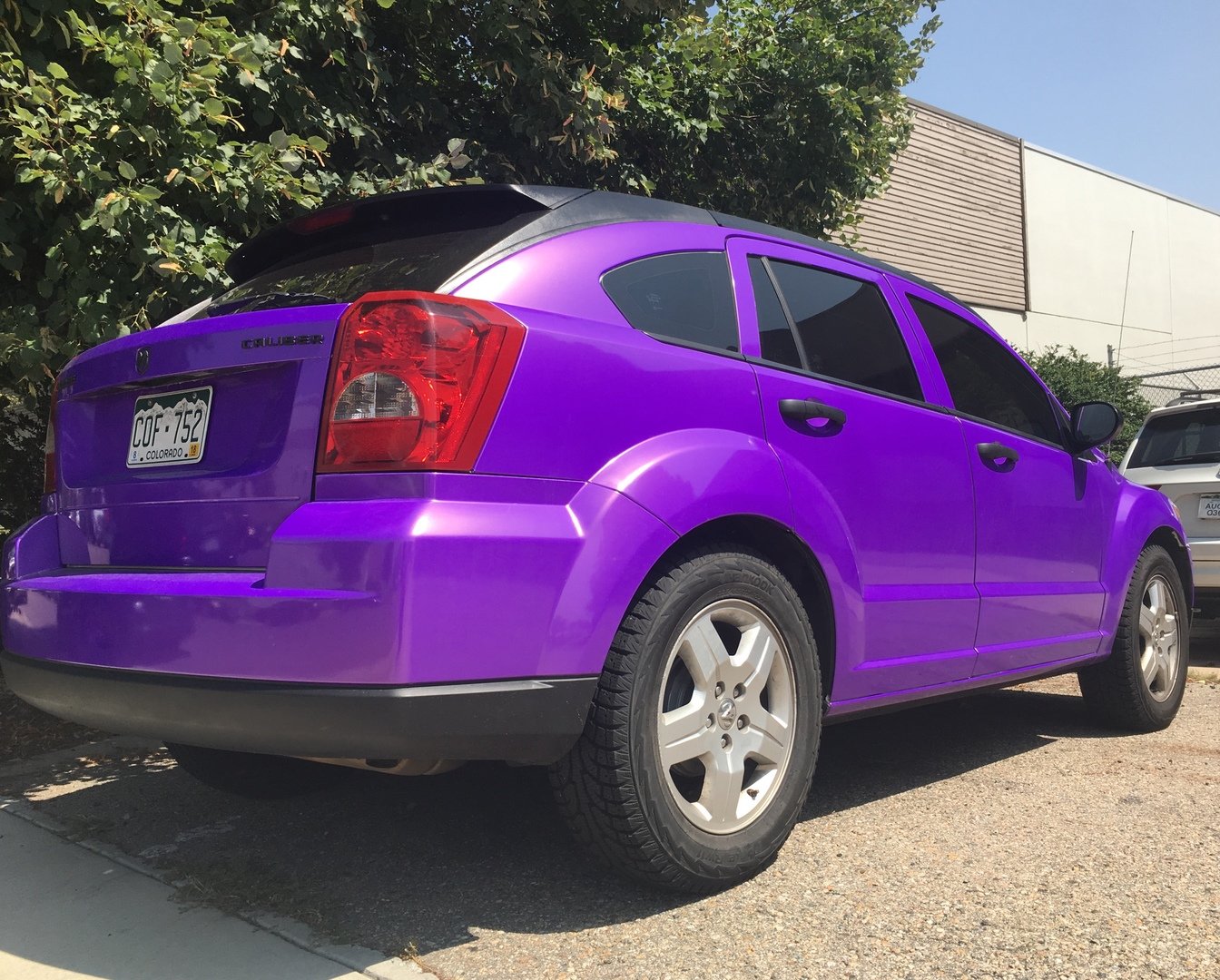 VVIVID VINYL 2018 VVIVID+ POISON PURPLE GLOSS