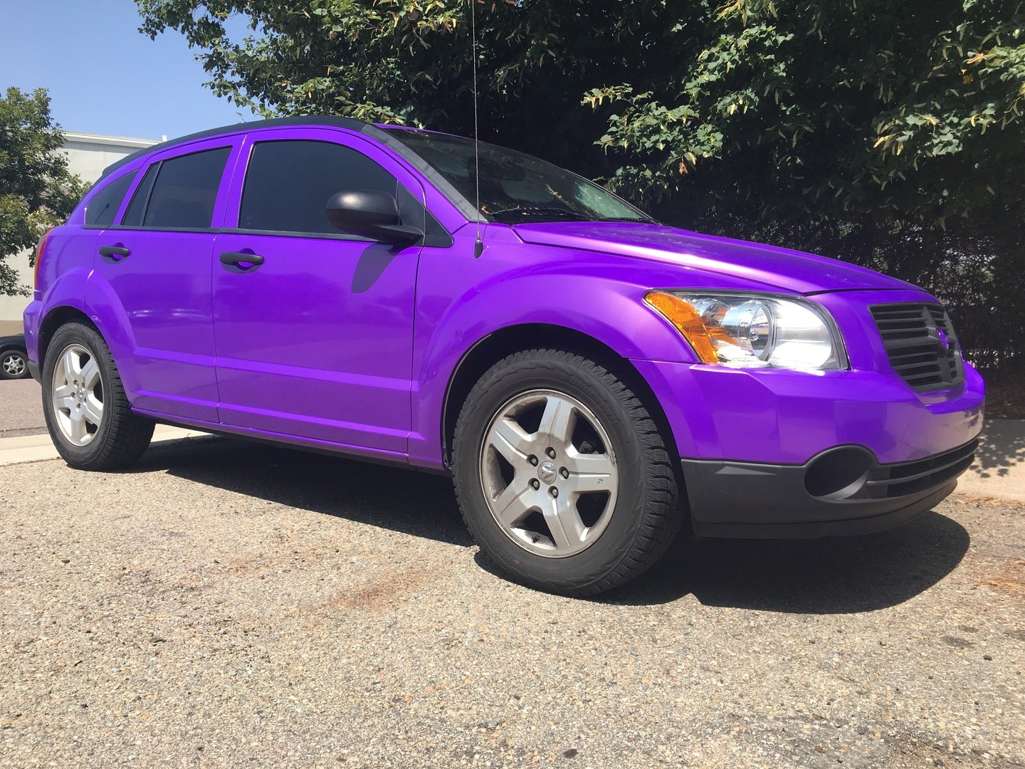 VVIVID VINYL 2018 VVIVID+ POISON PURPLE GLOSS